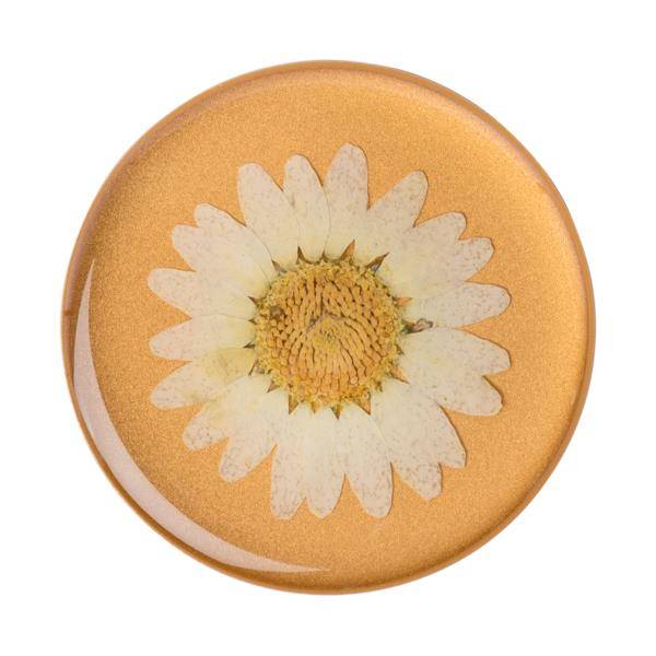 Popsockets uchwyt Pressed Flower White Daisy — zdjęcie 1