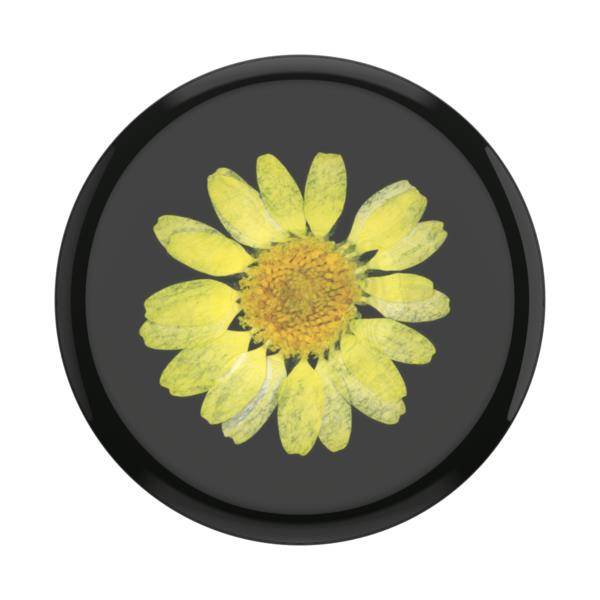 Popsockets uchwyt Pressed Flower Yellow Daisy — zdjęcie 1