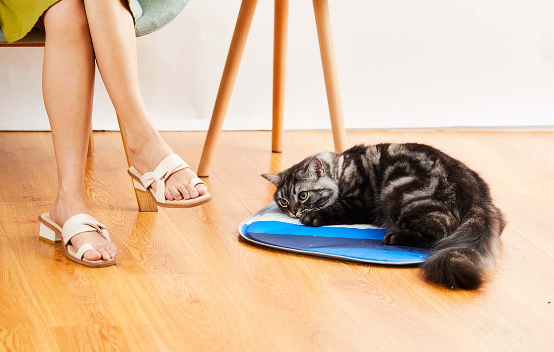 PetKit Cooling Cat Pad — zdjęcie 2